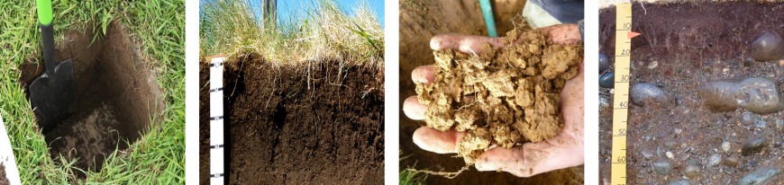 Soil profiles and types