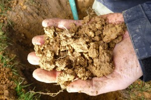 Handful of soil