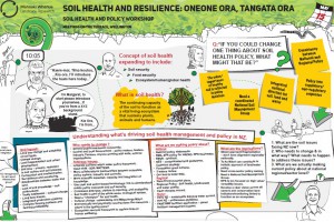 Poster: Soil Health and Resilience - oneone ora tangata ora