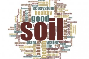 stakeholder views soil health