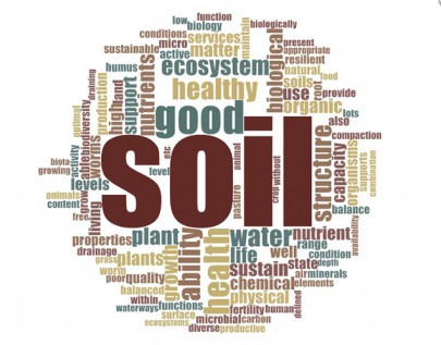 Stakeholder views on soil health