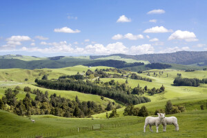 th Soil Carbon Sequestration 101