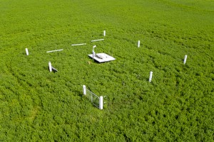 The completed lysimeter facility providing continuous measurements of carbon nitrogen and phosphorus leaching under irrigated lucerne (Bradley White)