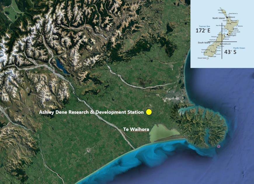 Satellite image of the South Island of New Zealand showing the location of the research site. The image highlights the extensive conversion of dryland farming to intensive irrigated dairy farming on the Canterbury Plains east of the Southern Alps. This illustrates the concept of Ki Uta Ki Tai, (from the mountains to the sea) and the potential flow-on effects of our farming decisions on the consequences of water quality for Te Waihora. (Google Earth) 