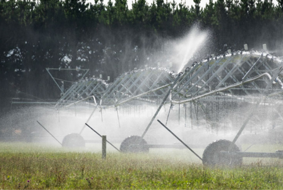 Irrigation