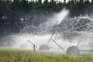 Irrigation is used extensively to enhance productivity in the dry summer period but musty be balanced carefully with crop requirements to avoid drainage losses (Bradley White)