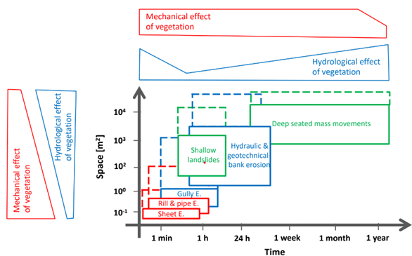 Figure 1. A conceptual visualisation of the spatio-temporal dimensions of erosion processes triggered by hydrological events. On the top and left, the meaning of the effects of vegetation for different temporal and spatial scales are illustrated. Dashed lines indicate the extension of dimensions considering the contributing and runoff/runout zones (source: M. Schwarz).