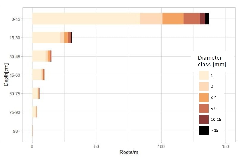 Figure 3. The average distribution of roots on a poplar trees for selected depth classes. A distinction is made for selected diameter classes of the roots.