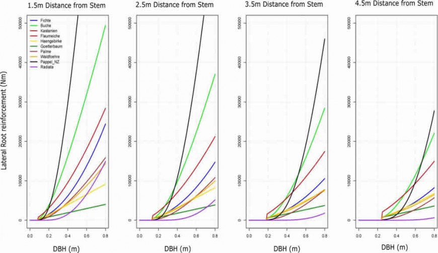 Figure 4. A comparison of the root reinforcement generated by our poplar trees and other tree species. The poplars are the black line. The y-axis gives the lateral root reinforcement in N/m. The x-axis gives the DBH in metres. Selected distance classes ar