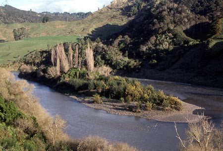 Figure 2: Moutoa Island as it is now. Photo: Te Ara: The Encyclopedia of New Zealand.