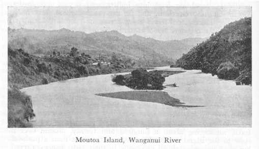 Figure 1: Moutoa Island as it was (date unknown). Photo: Wikipedia: from James Cowan: The New Zealand Wars: a History of the Māori Campaigns and the Pioneering Period: Volume II: THE Hauhau Wars, 1864-72.