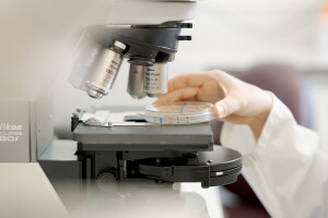 Discover our research