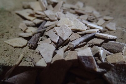 Moa egg shell
