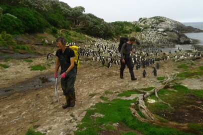 Subantarctic Islands