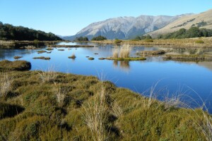 Bealey Spur