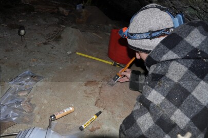 Excavating coprolite deposit