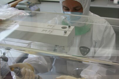 Extracting DNA