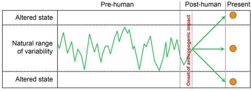 Figure 1. Wetland condition is currently determined solely from its present state (circles). However, translating this into ‘naturalness’ relies on a long-term baseline of natural variability (green line) against which trajectories following perturbations (e.g. human impacts) can be assessed. The WAAM tool will provide this context, allowing robust ranking of wetlands for conservation prioritisation, and informing on the relative cost/effort required to restore a wetland to a ‘natural’ state.