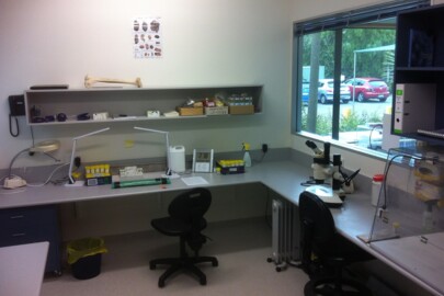 Subsampling room