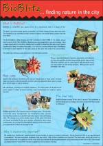 BioBlitz poster