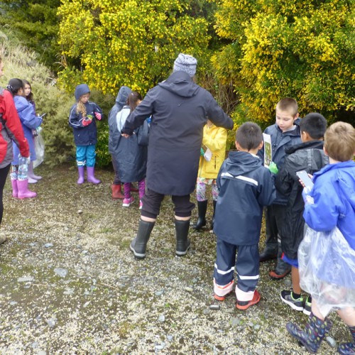 Franz Josef & Fox Glacier Schools » Manaaki Whenua