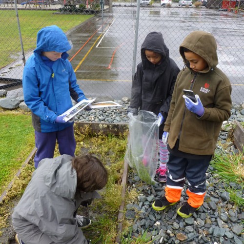 Franz Josef & Fox Glacier Schools » Manaaki Whenua