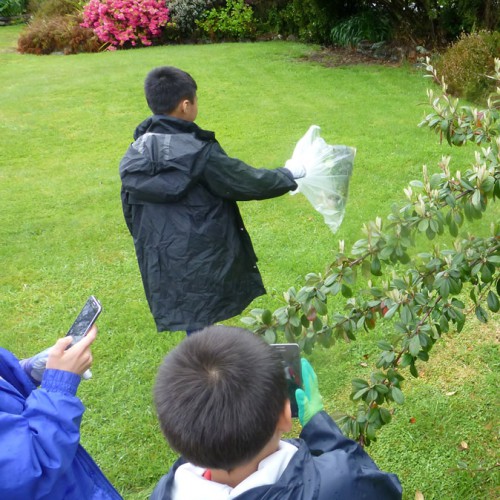 Franz Josef & Fox Glacier Schools » Manaaki Whenua