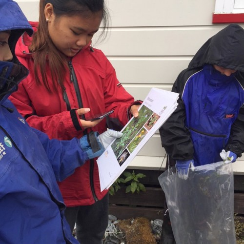 Franz Josef & Fox Glacier Schools » Manaaki Whenua
