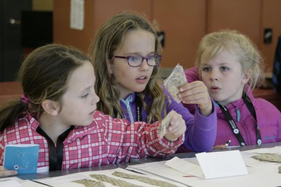 Kaniere School students examining Allan Herbarium specimens.