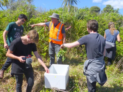 Greymouth High School students releasing Honshu white admiral butterfly caterpillars. Image: Murray Dawson