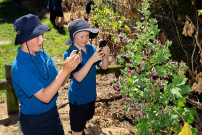 Heathcote Valley School students (Kauri Team) recording tree mallow in the domain. Image: Brad White