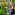 Murray Dawson helping Heathcote Valley School student (Kauri Team) identify plants in the domain. Image: Brad White Image