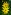 [Helianthus tuberosus] (Jerusalem artichoke). Image: © Murray Dawson Image