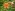 [Watsonia meriana] (bulbil watsonia). Image: © Murray Dawson Image