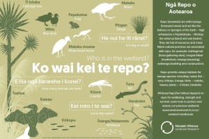 wetlands poster english