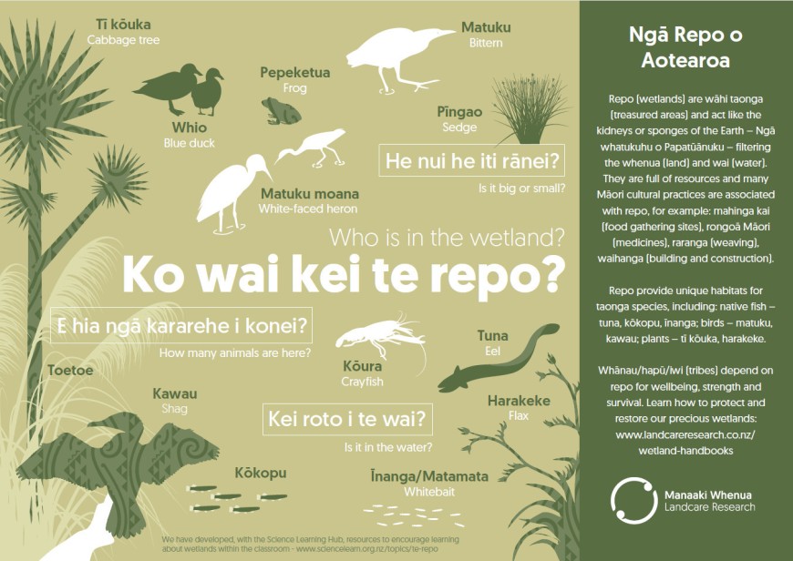 Poster: Who is in the wetland? Ko wai kei te repo?