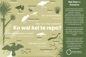 wetlands poster maori