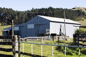 Whakatāwai Station, Waiapu Valley, Gisborne