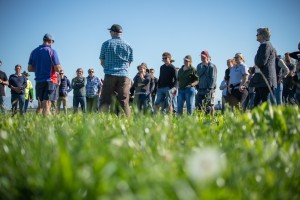 Quorum Sense Field Day