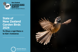 Cover: State of NZ Garden Birds 2025