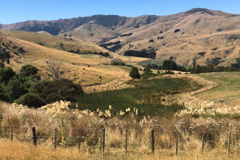 Farm near Akaroa