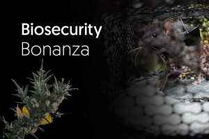 Biosecurity Bonanza