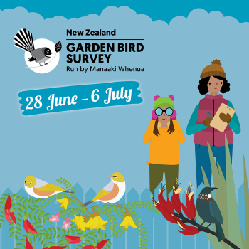 NZ Garden Bird Survey 2025: Saturday 28 June – Sunday 6 July