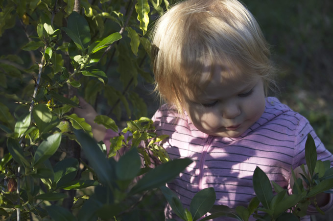 Child exploring nature