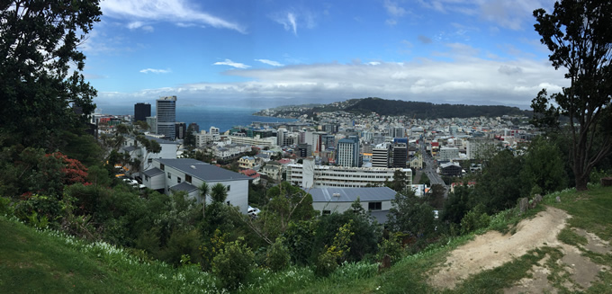 A view of Wellington