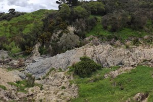 Extensive earthflow in the upper Tiraumea catchment a tributary of the Manawatu River.