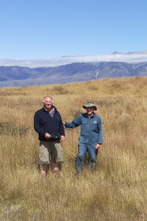 Gavin Loxton (left) and Lindsay Smith (right) at a Canterbury hieracium biocontrol site