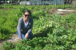 Hema Wihongi in the organic community garden