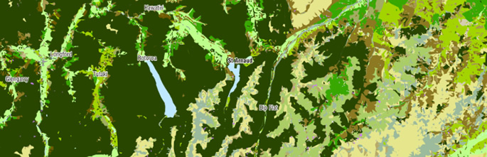 New Zealand’s Land Cover Database (LCDB