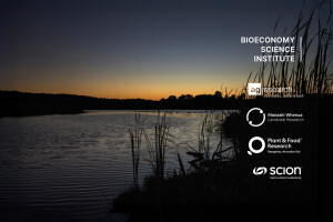 Wetlands at sunset